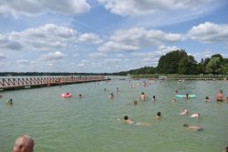 Otoczone drewnianym pomostem kąpielisko, w którym pływa kilkadziesiąt osób. W tle widać trzciny, drzewa oraz błękitne niebo z chmurami kłębiastymi.