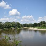 Bug w Sobiborze – Rzeka płynąca szerokim korytem z jednym brzegiem porośniętym gęstą roślinnością i piaszczystą plażą na drugim brzegu.