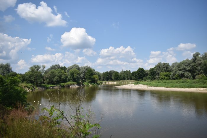 Bug w Sobiborze – Rzeka płynąca szerokim korytem z jednym brzegiem porośniętym gęstą roślinnością i piaszczystą plażą na drugim brzegu.