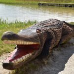 Drewniany krokodyl – symbol Okuninki – Naturalistycznie wyglądająca rzeźba krokodyla wylegującego się na plaży jeziora. W tle widać drewniany pomost.
