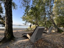 Jezioro Glinki – Dwa kamienno-drewniane siedziska ustawione na plaży pośród drzew nad jeziorem.