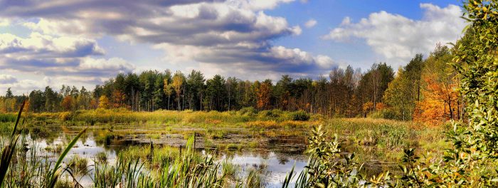 Jezioro Orchowe – Na zdjęciu widać jesienną panoramę zanikającego jeziora, a w dali drzewa w różnych kolorach