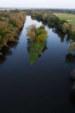 Wyspa na Bugu w Orchówku – Widok z lotu ptaka na koryto rzeki płynącej pośród zielonych łąk. Jej brzegi porastają gęste drzewa, na środku koryta widać niewielką wyspę, również gęsto porośniętą.
