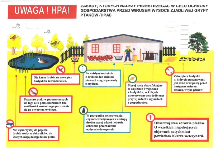 UWAGA HPAI